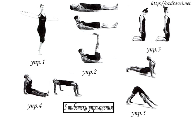 5 тибетски упражнения